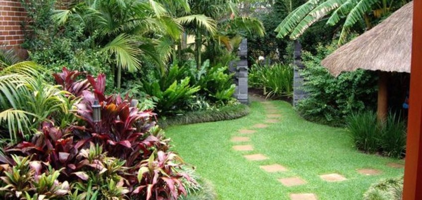Jardim com estilo tropical